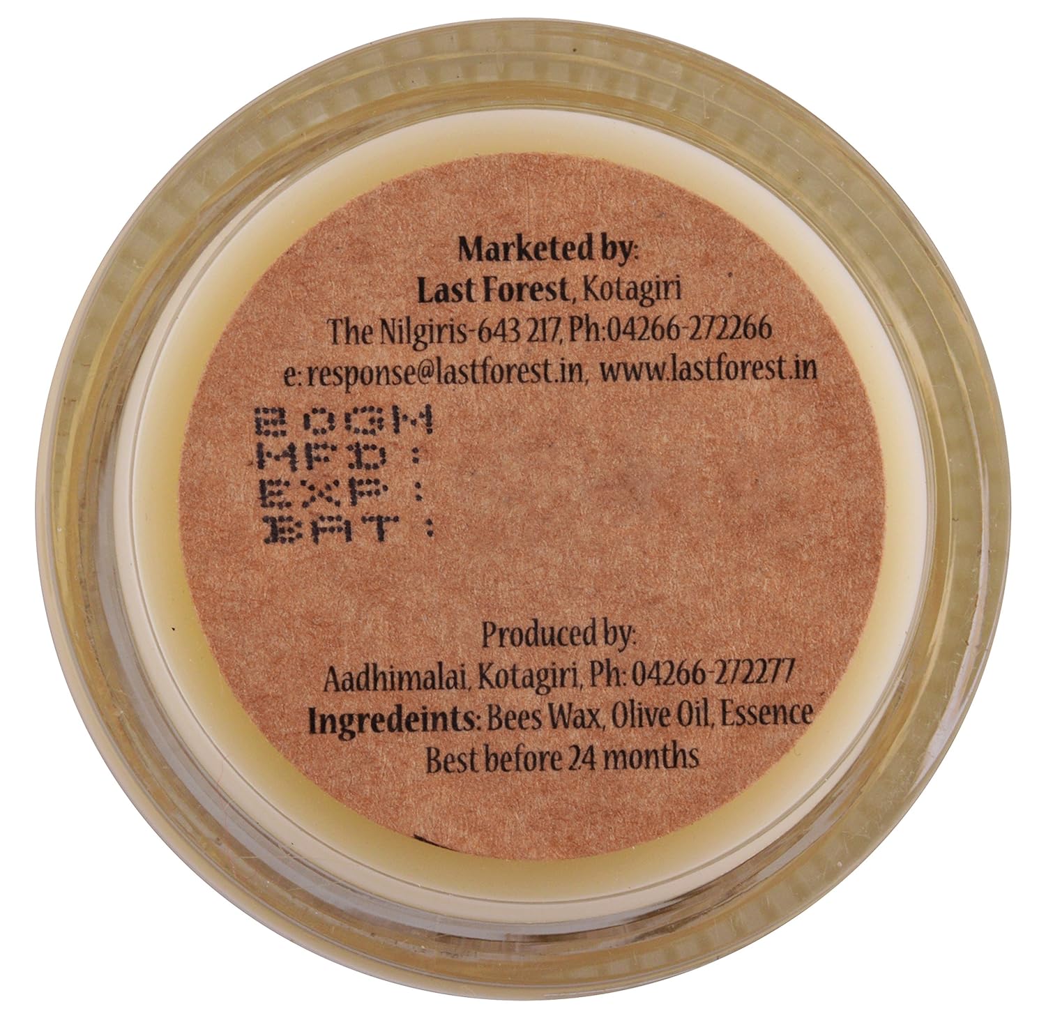 Lip Balm Mint - Last Forest - 5gm