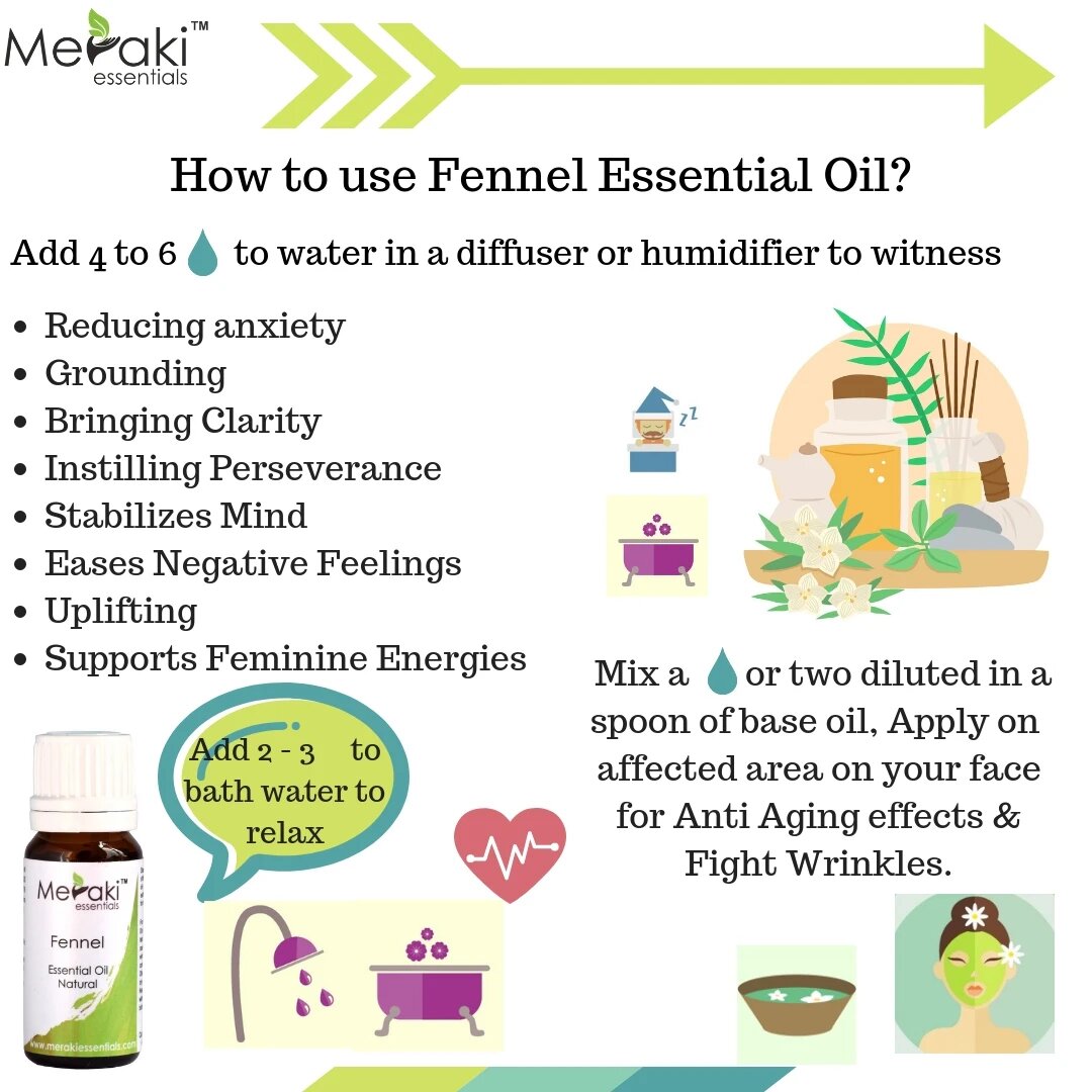 Fennel Essential Oil (Foeniculum Vulgare) - Natural - Indian - Meraki Essentials – 10ml