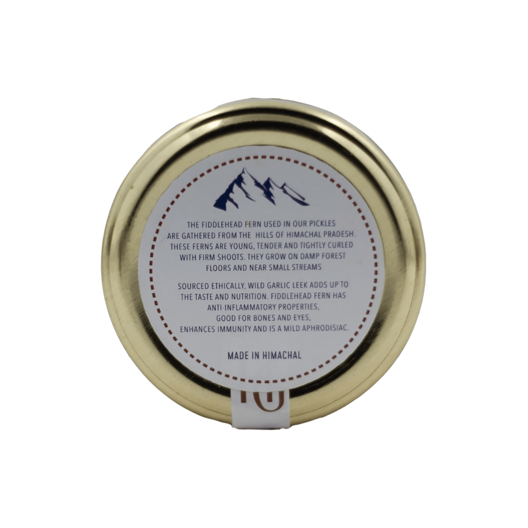 Forest Pickle – Himalayan Gatherer – 200gm