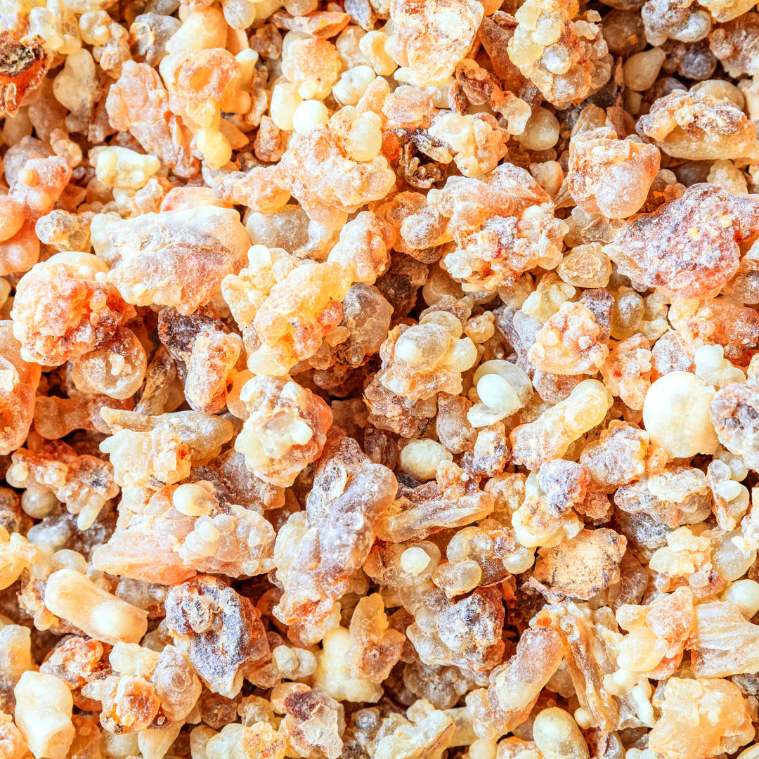 Frankincense Oil (Boswellia Carterii) - Natural - Indian - Meraki Essentials - 10ml