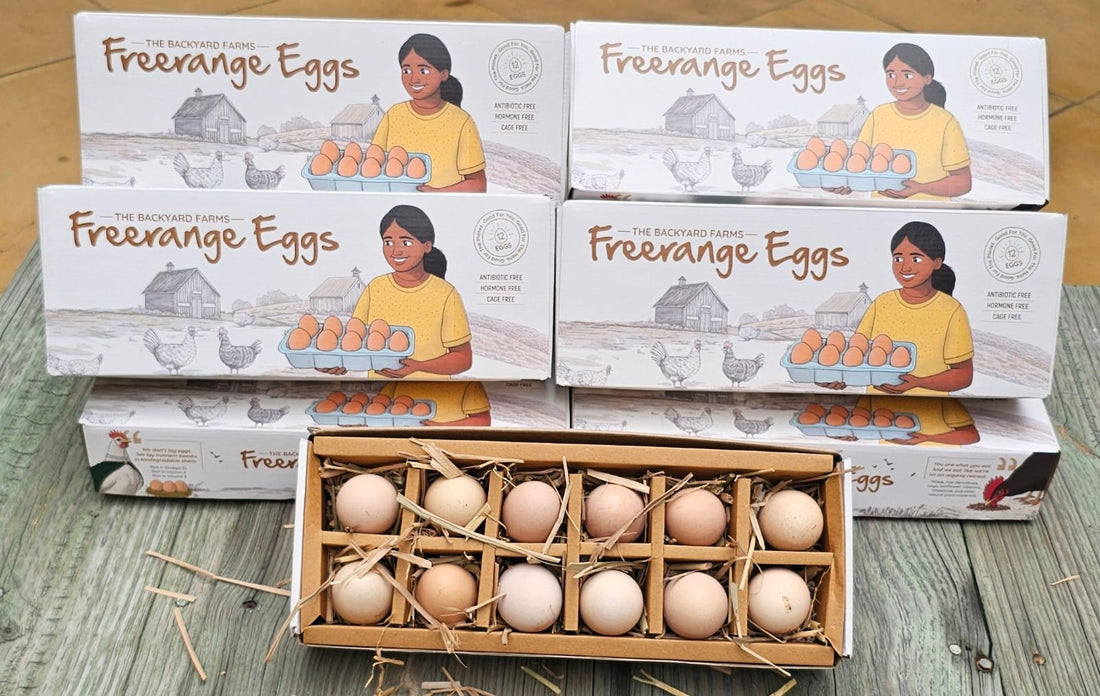 Eggs | Free Range Eggs – Cage Free, No Antibiotics & Hormone Free - The Backyard Farms - 12 Eggs