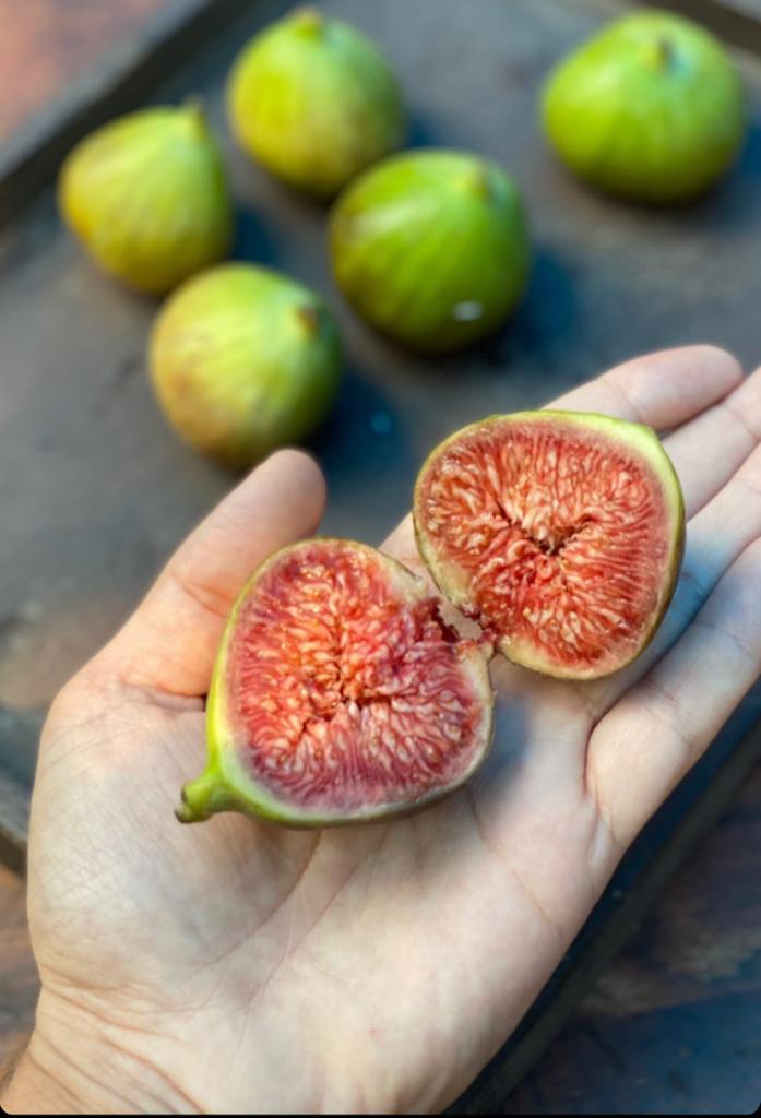 Fresh Figs | (Maharashtra) - High Fiber & Antioxidants - Organically Grown - Set Of 4