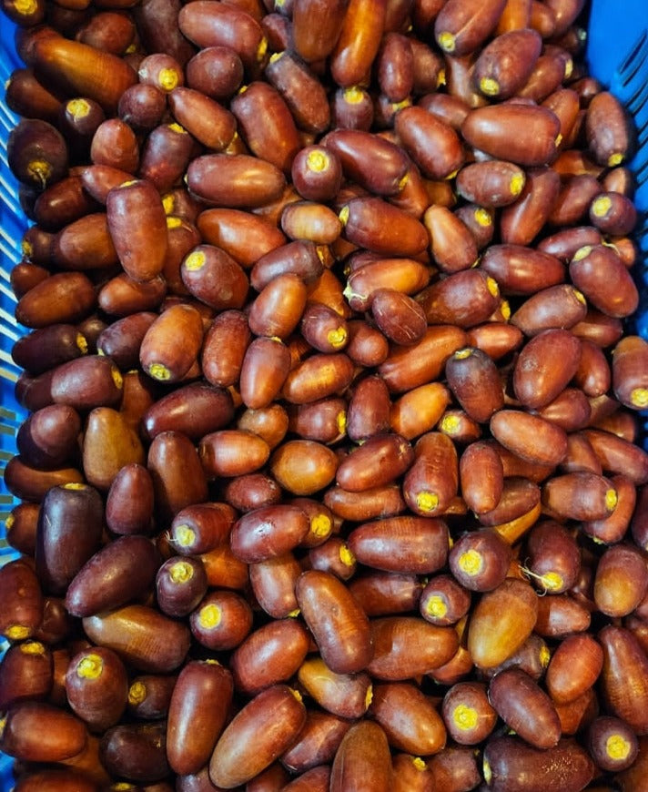 Dates | Fresh Red Dates - (Maharashtra) - Organically Grown