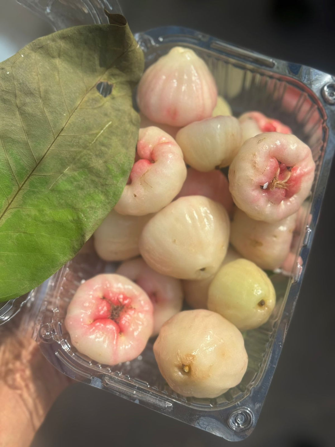 Apples | Fresh White Rose Apples - Naturally Grown in Satara, Maharashtra - 100% Natural & Pesticide-Free- Farm Fresh