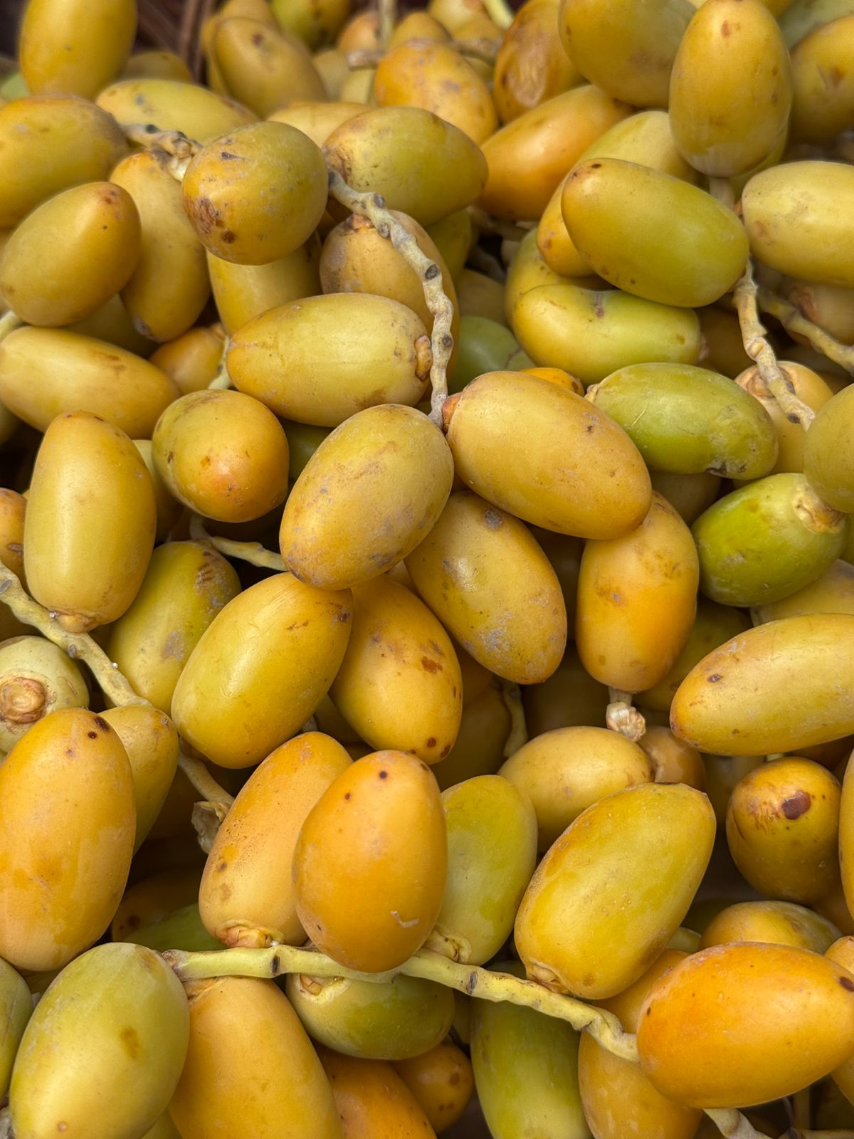 Dates | Fresh Yellow Dates - (Maharashtra) - Organically Grown