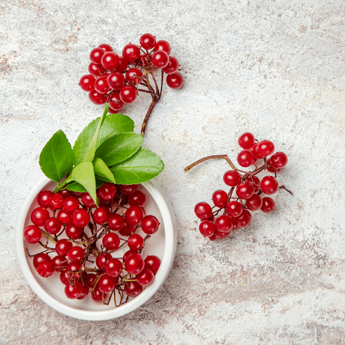 Frozen Cranberry | (No Added Sugar) - 500gm