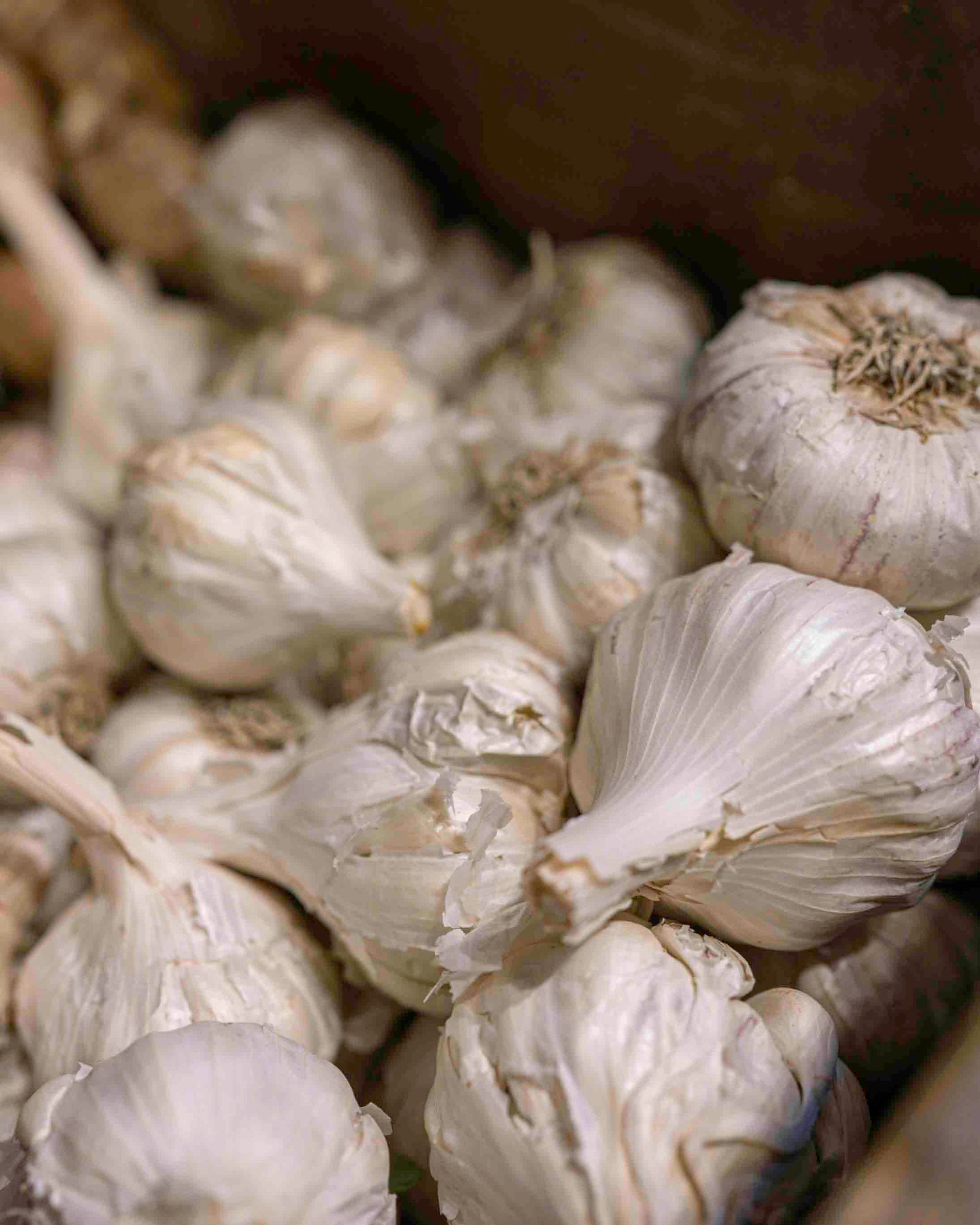 Garlic (Sonipat) | Reduces Cholesterol Levels, Prevents Cancer & Has Antibiotic Properties - Certified Organic