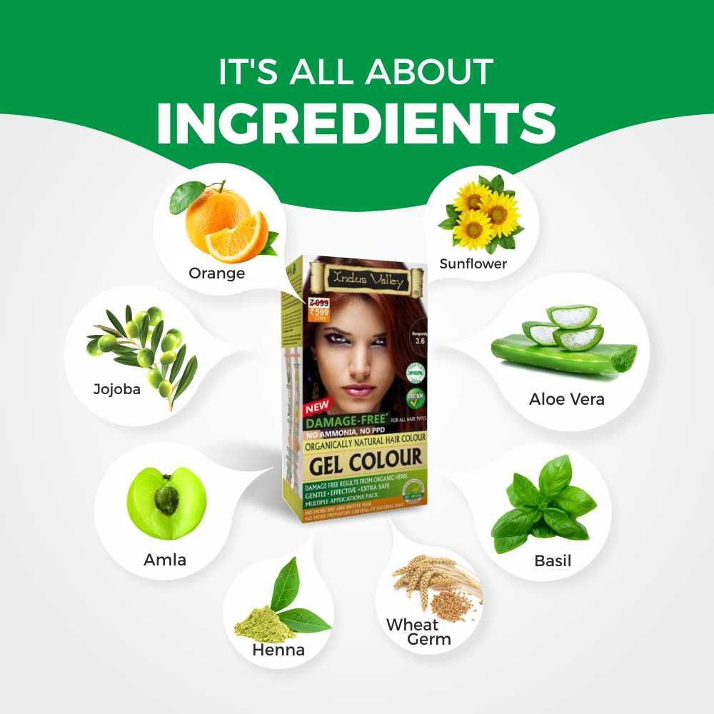 Gel Coloration – Burgundy – Vegan – Indus Valley – 220ml