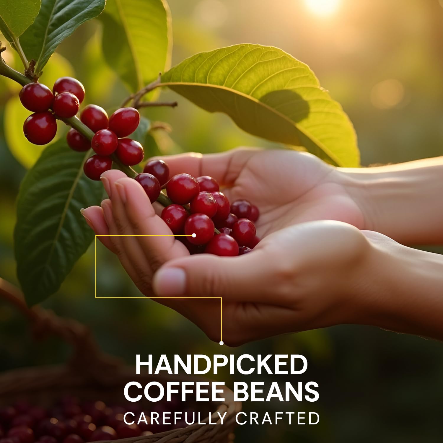 Coffee | Gold Coffee - Instant Premium Freeze Dried 100% Coffee - Rich, Creamy And Flavourful - Flurys - 50gm