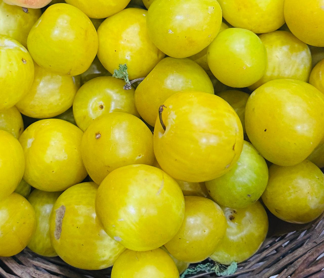 Plum | Golden Plum (Spiti Valley) - Organically Grown
