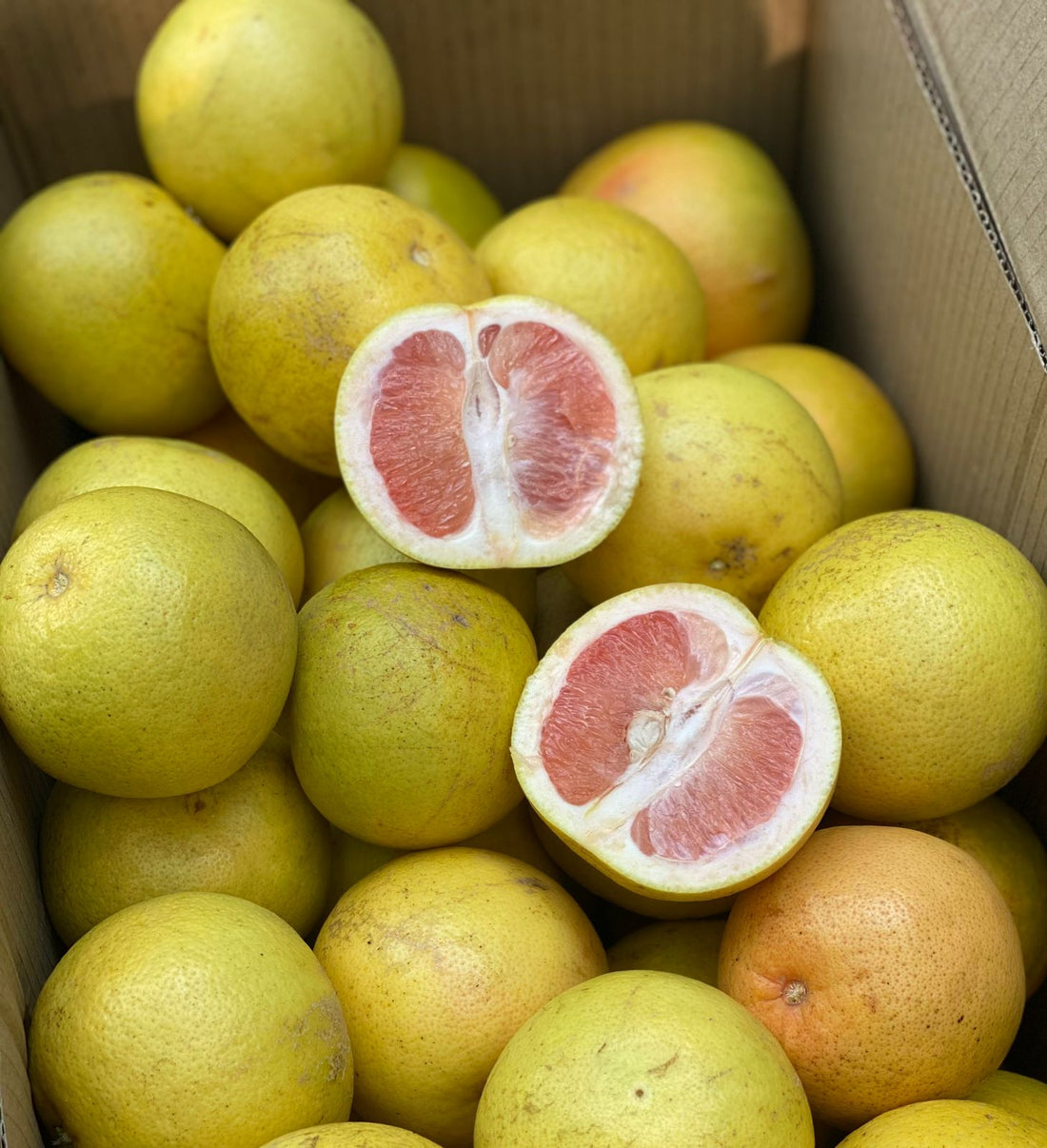 Grape Fruit | Pink (Karnataka) - No Chemicals & Pesticides - Naturally Grown