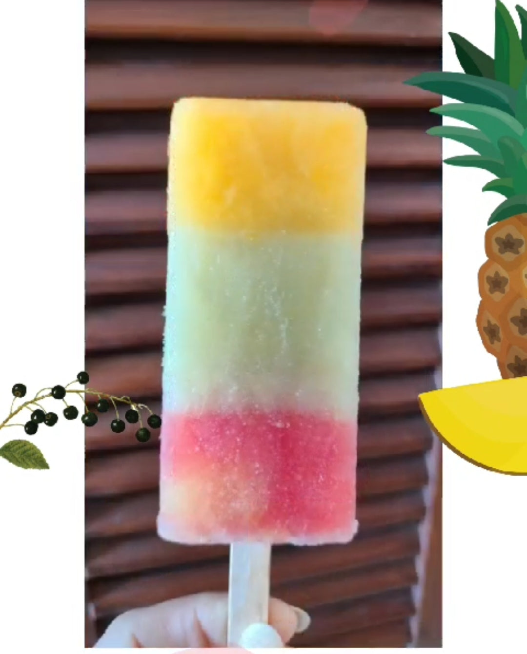 Ice Cream | Grapes Orange Mixed Popsicle Ice Cream- Fruit Ice Cream- 100% Natural Grapes Orange - Refreshing Summer Fruit Blend- No Artificial Colors, No Synthetic Flavors - Nature&