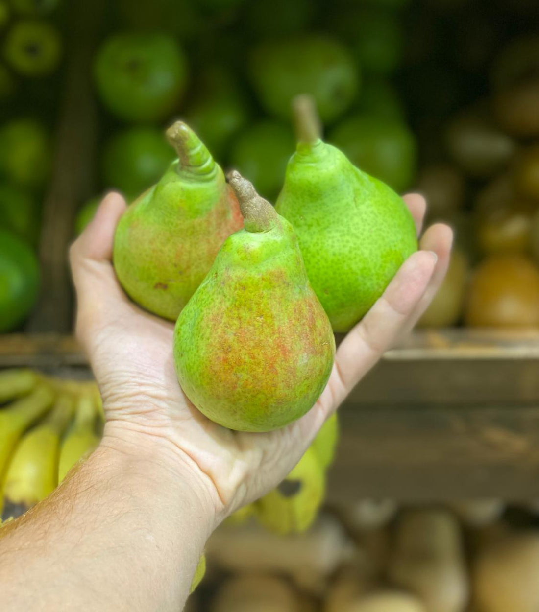 Pears | Green Pears (Babugosha) (Shimla) - Zero Budget Natural Farming - Organically Grown