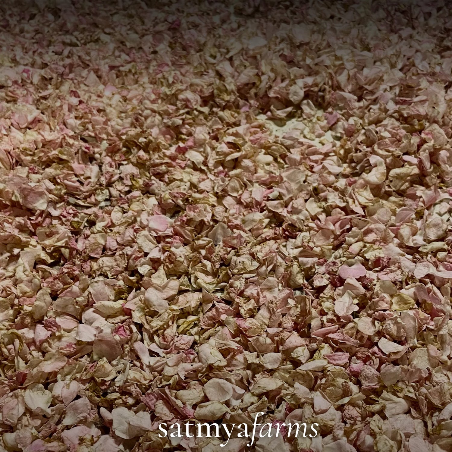 Gulkand – Gluten Free, No Refined Sugar, No Soy & No Nuts - Satmya – 250gm