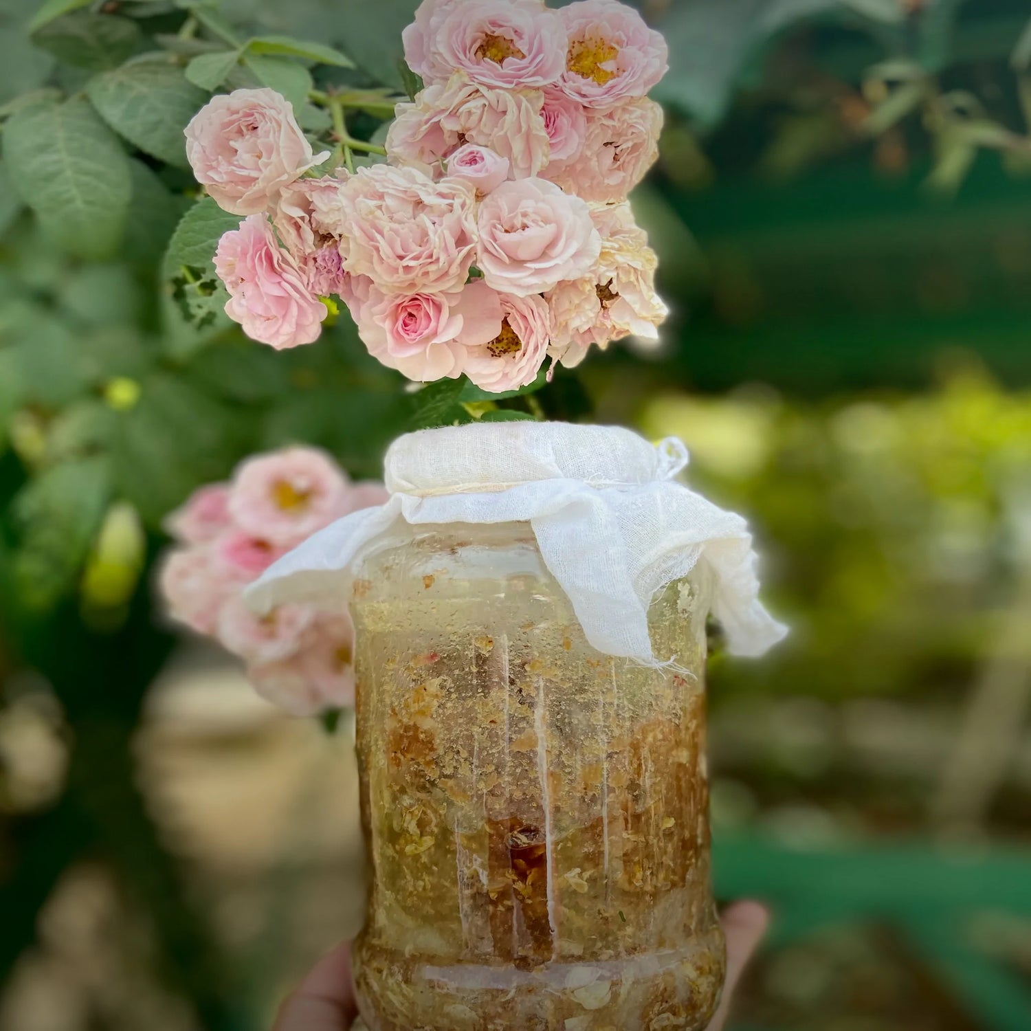 Gulkand (Rose Petal Jam) – Natural - Indian - Gluten Free, No Refined Sugar, No Soy, No GMO, Excellent Source Of Vitamin C & No Nuts - Satmya – 500gm