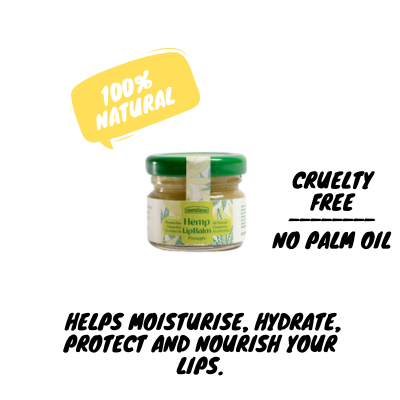 Lip Balm | Hemp Lip Balm (Pineapple) - Helps Moisturize, Hydrate, Protect And Nourish Your Lips - All Natural - Gluten Free, Cruelty Free, Paraben Free & No Palm Oil - Hemplanet - 30gm