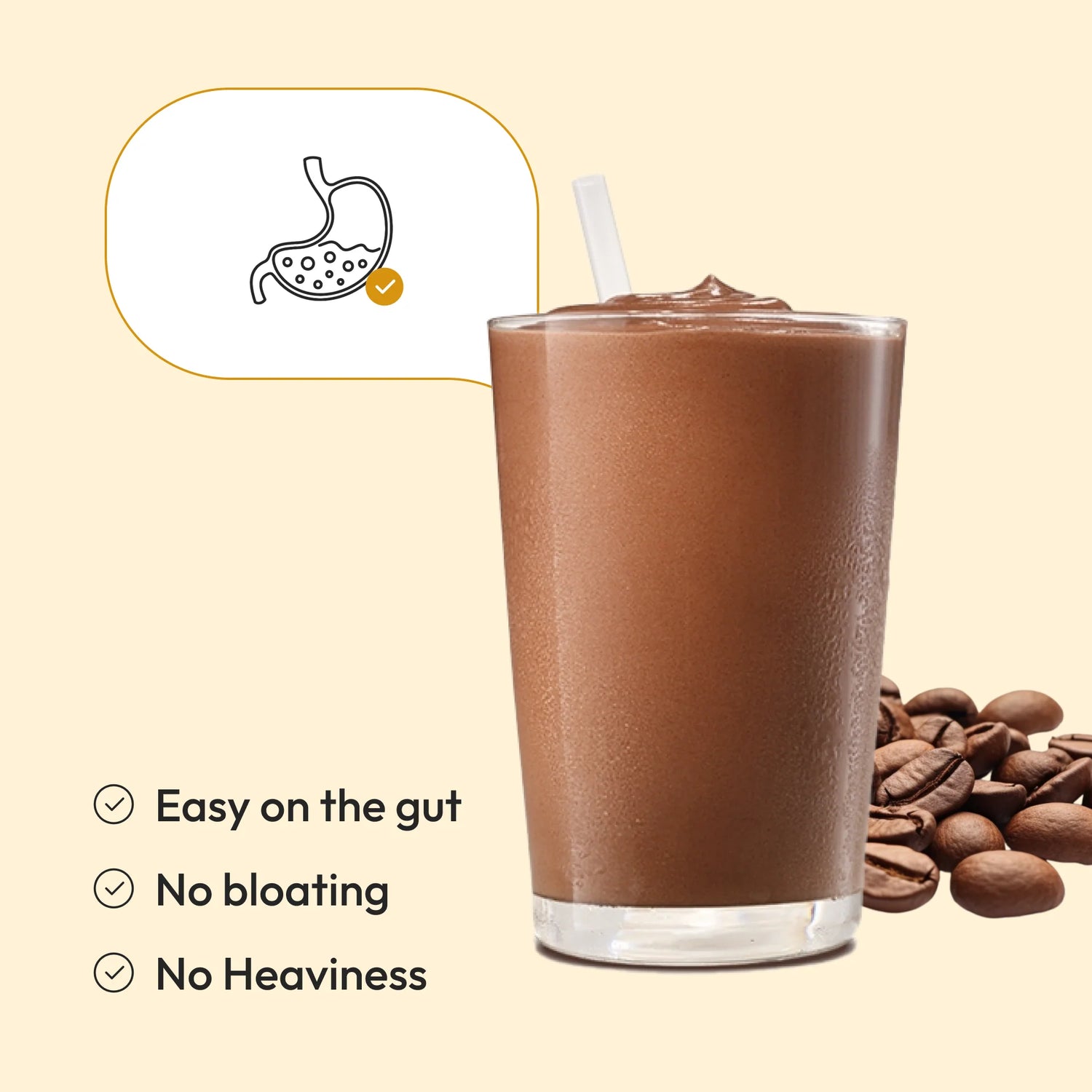 Protein Powder | Plant Protein - Italian Cafe Mocha - Vegan, Gluten Free, Dairy Free & Non Gmo - Wellbeing Nutrition - (15 Serving) - 500gm