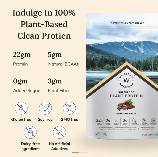 Protein Powder | Plant Protein - Italian Cafe Mocha - Vegan, Gluten Free, Dairy Free & Non Gmo - Wellbeing Nutrition - (15 Serving) - 500gm