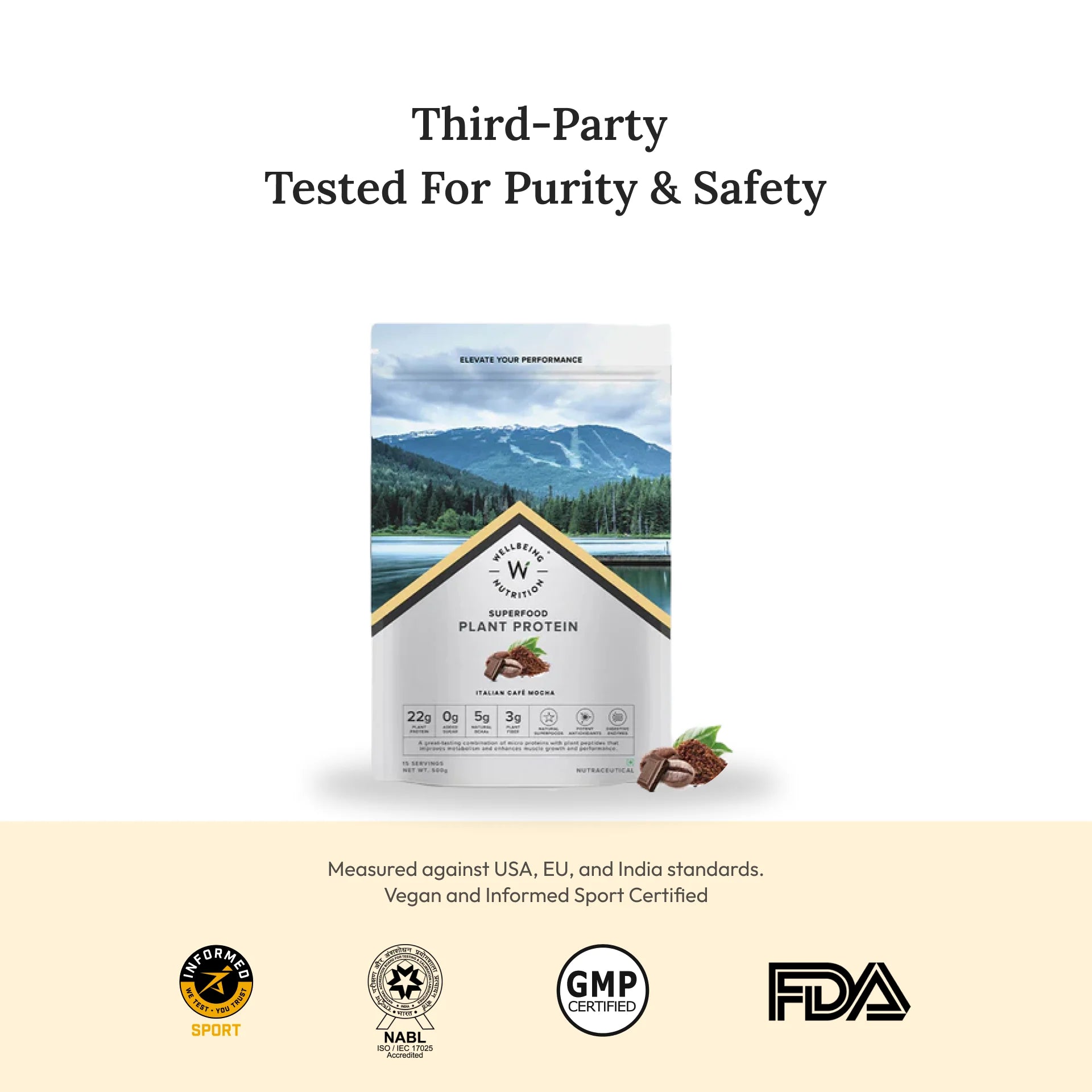 Protein Powder | Plant Protein - Italian Cafe Mocha - Vegan, Gluten Free, Dairy Free & Non Gmo - Wellbeing Nutrition - (15 Serving) - 500gm