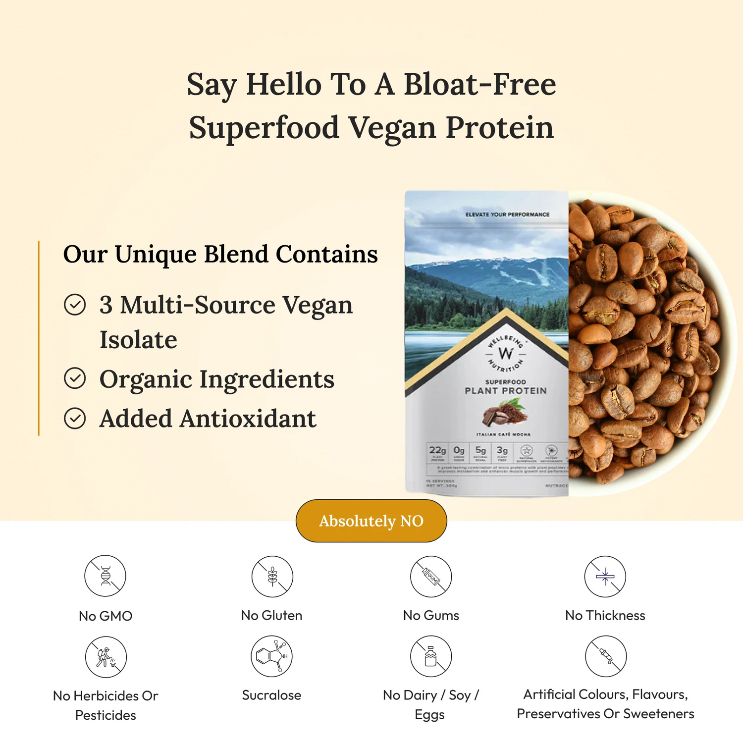 Protein Powder | Plant Protein - Italian Cafe Mocha - Vegan, Gluten Free, Dairy Free & Non Gmo - Wellbeing Nutrition - (15 Serving) - 500gm