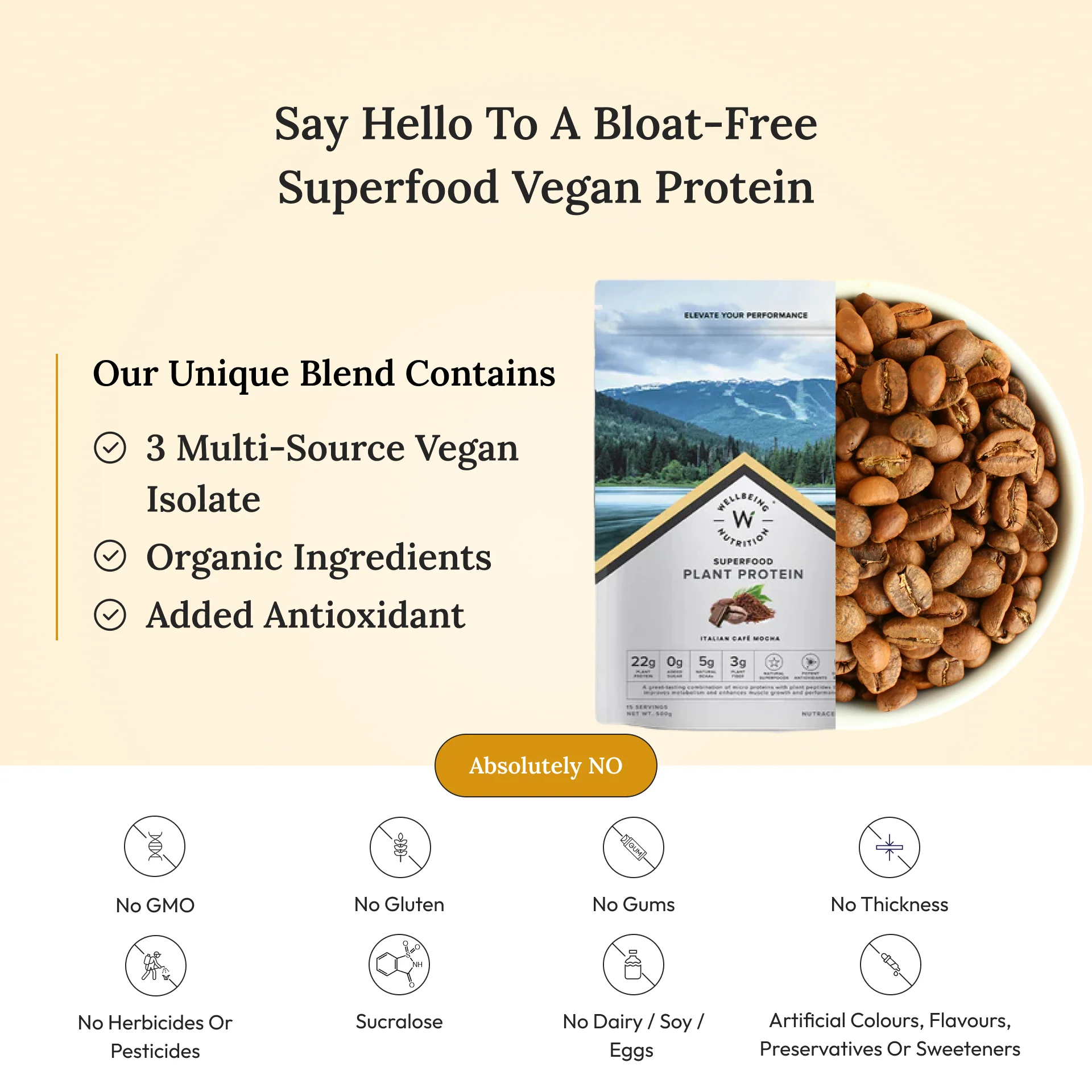 Protein Powder | Plant Protein - Italian Cafe Mocha - Vegan, Gluten Free, Dairy Free & Non Gmo - Wellbeing Nutrition - (15 Serving) - 500gm