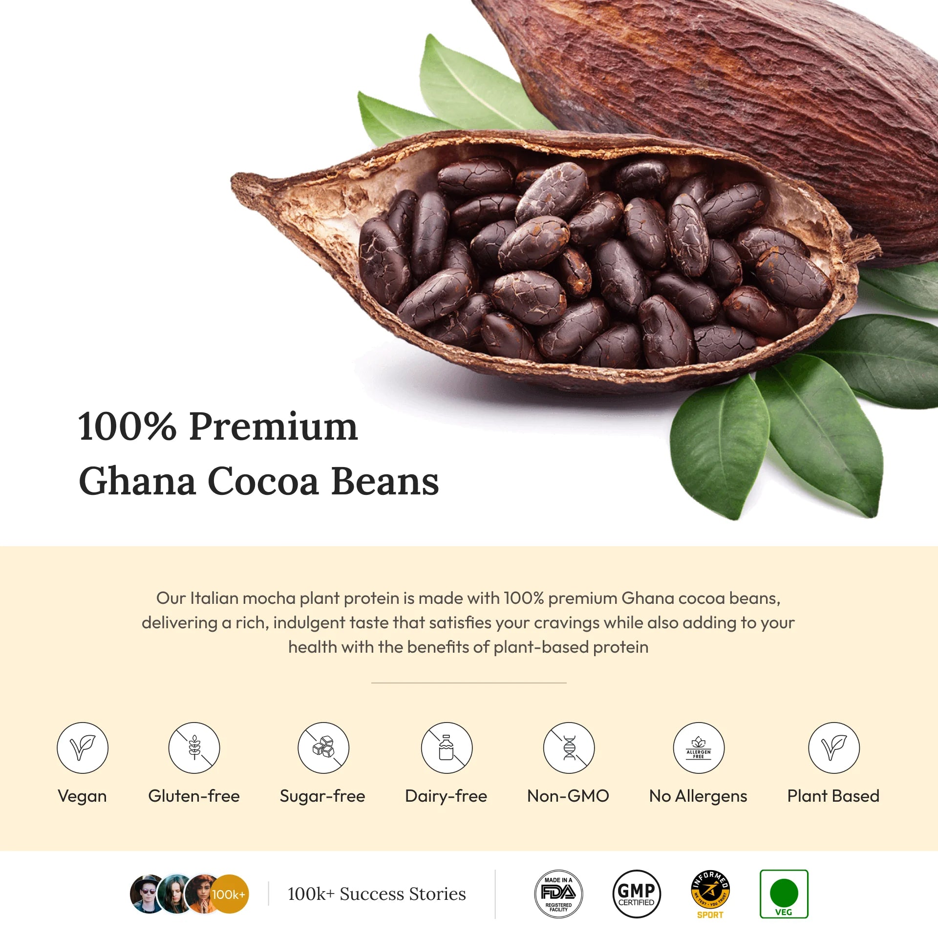 Protein Powder | Plant Protein - Italian Cafe Mocha - Vegan, Gluten Free, Dairy Free & Non Gmo - Wellbeing Nutrition - (15 Serving) - 500gm