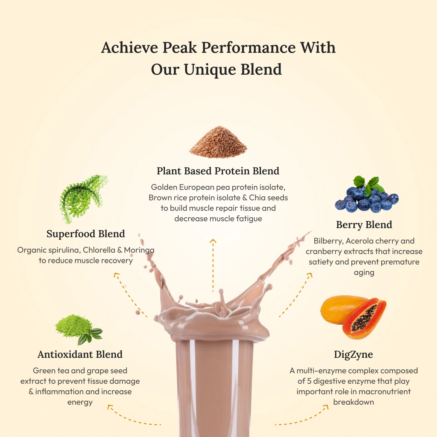 Protein Powder | Plant Protein - Italian Cafe Mocha - Vegan, Gluten Free, Dairy Free & Non Gmo - Wellbeing Nutrition - (15 Serving) - 500gm