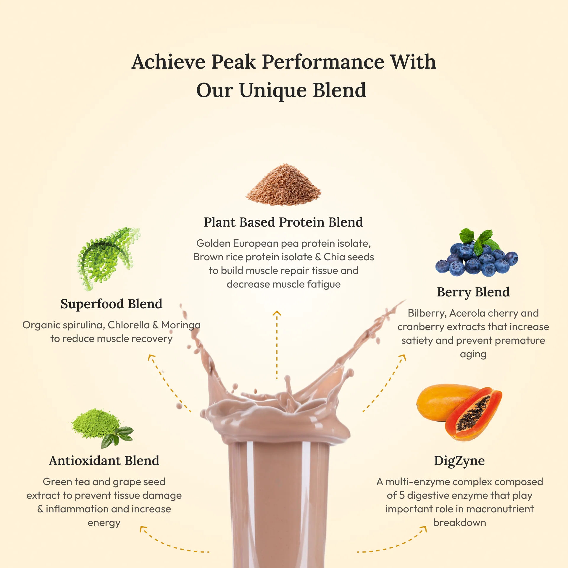 Protein Powder | Plant Protein - Italian Cafe Mocha - Vegan, Gluten Free, Dairy Free & Non Gmo - Wellbeing Nutrition - (15 Serving) - 500gm