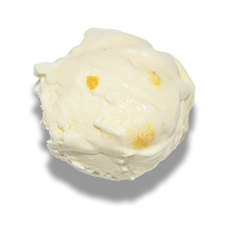 Ice Cream |Jackfruit Ice Cream - Made From A2 Milk, Gondh Gum, Organic Butter, Jackfruit - Churned with authentic & Real Ingredients -No Artificial Stabilisers Added- Iceberg Organic Ice Cream - 125ml