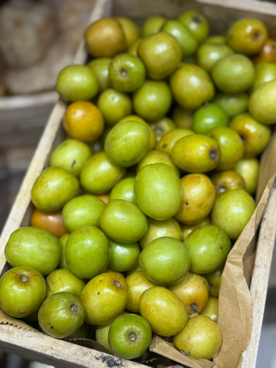 Jujube | Fresh Indian Jujube (Ber) – Nature&