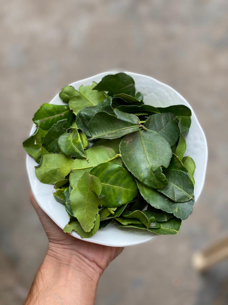 Fresh Kaffir Lime Leaves