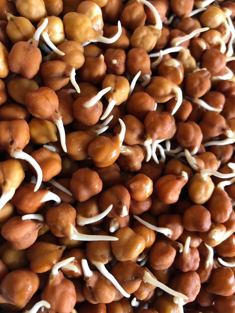 Kala Chana sprouts - 200gm