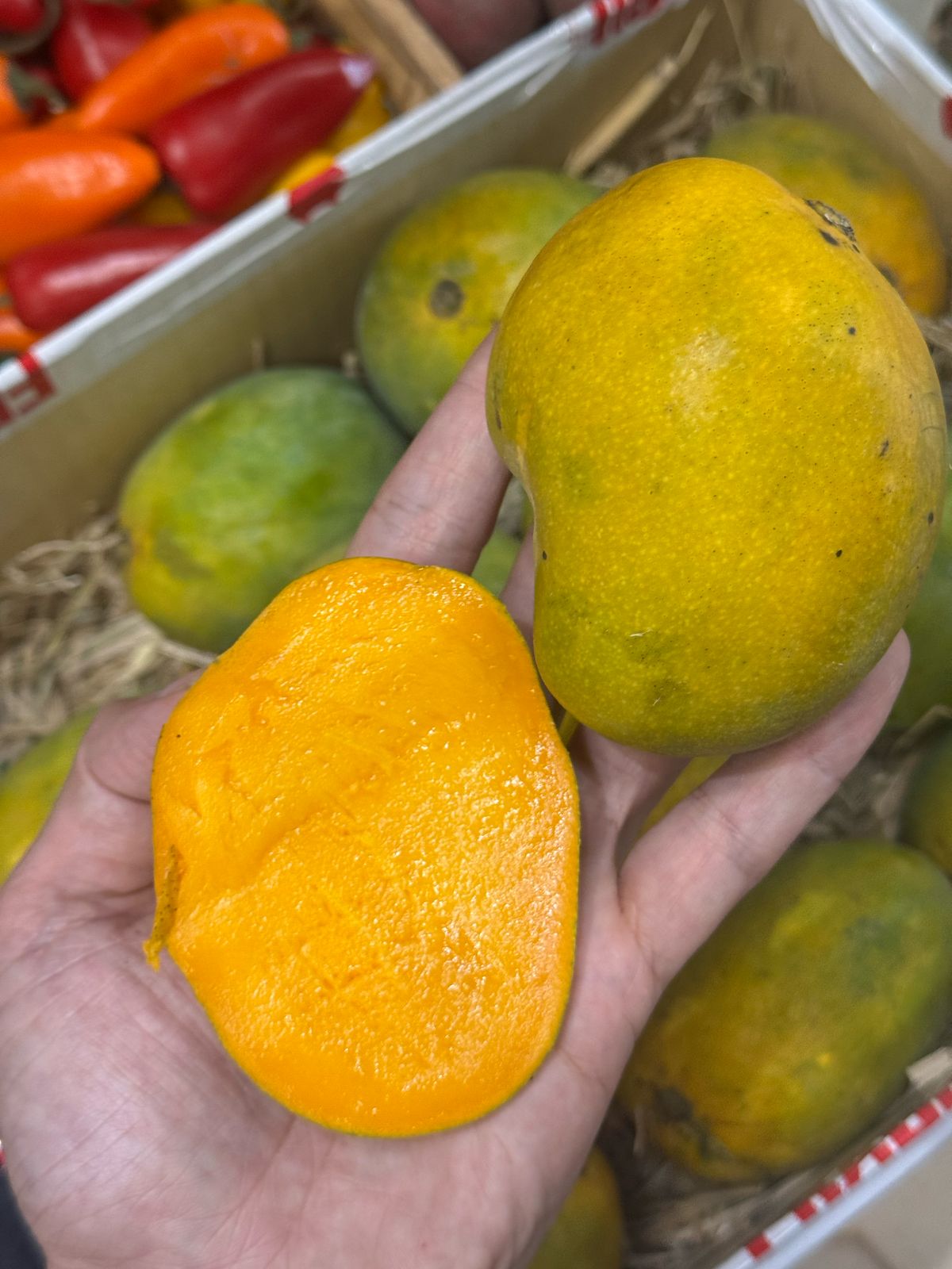 Mango | Kalapadi Mango (Kerala) - Organically Grown - Carbide Free & Naturally Ripened