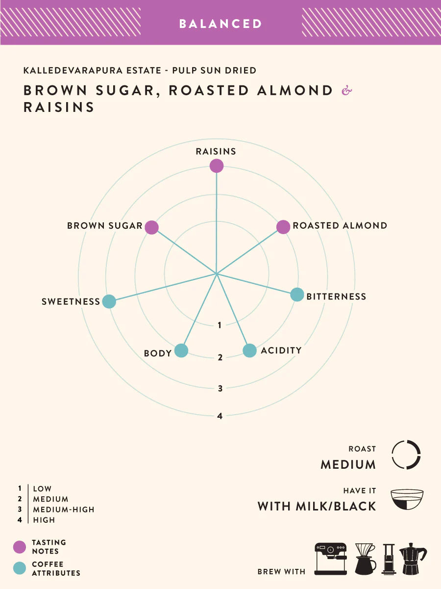 Coffee | Kalledevarapura Estate (Moka Pot) – Sun Dried – Brown Sugar – Raosted Almond – Raisin – No Added Preservatives, Additives & No Added Flavouring – Blue Tokai – 250gm