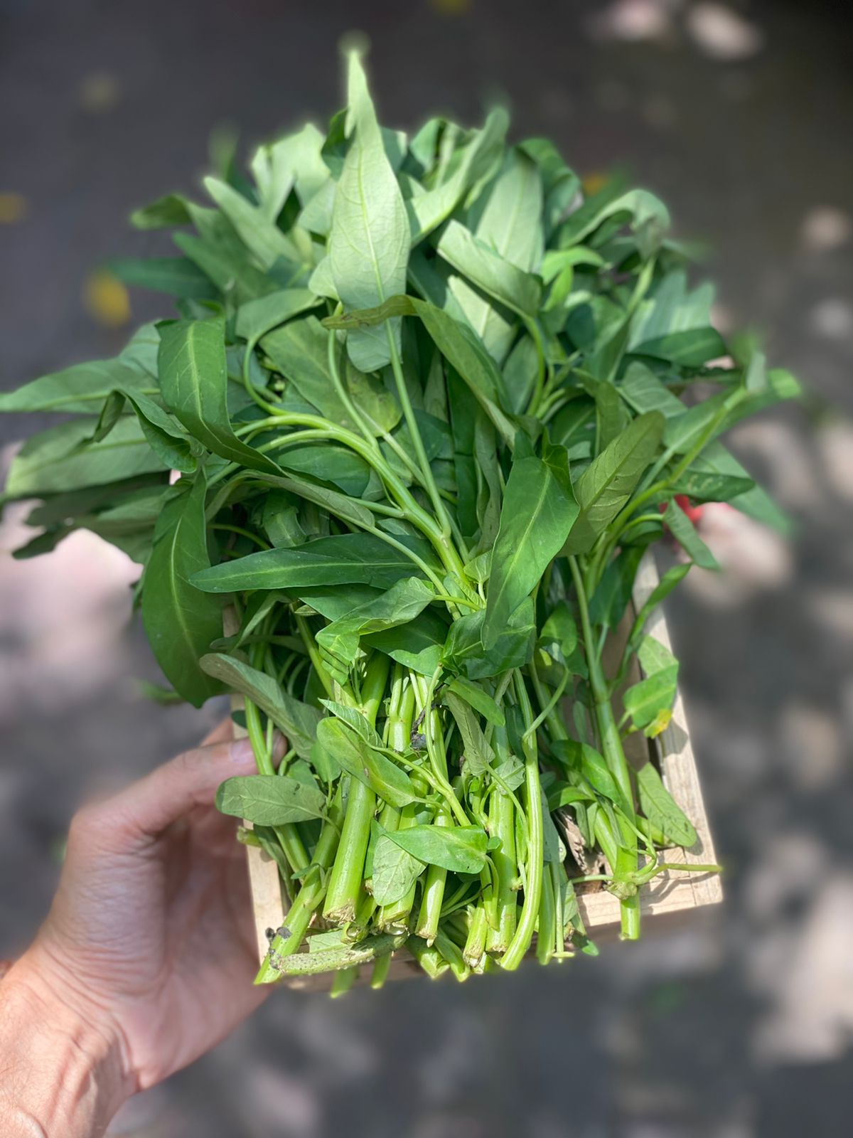 Kalmi Saag | (Morning Glory) – Low calorie, Rich In Antioxidants, Vitamins & Minerals – Organically Grown