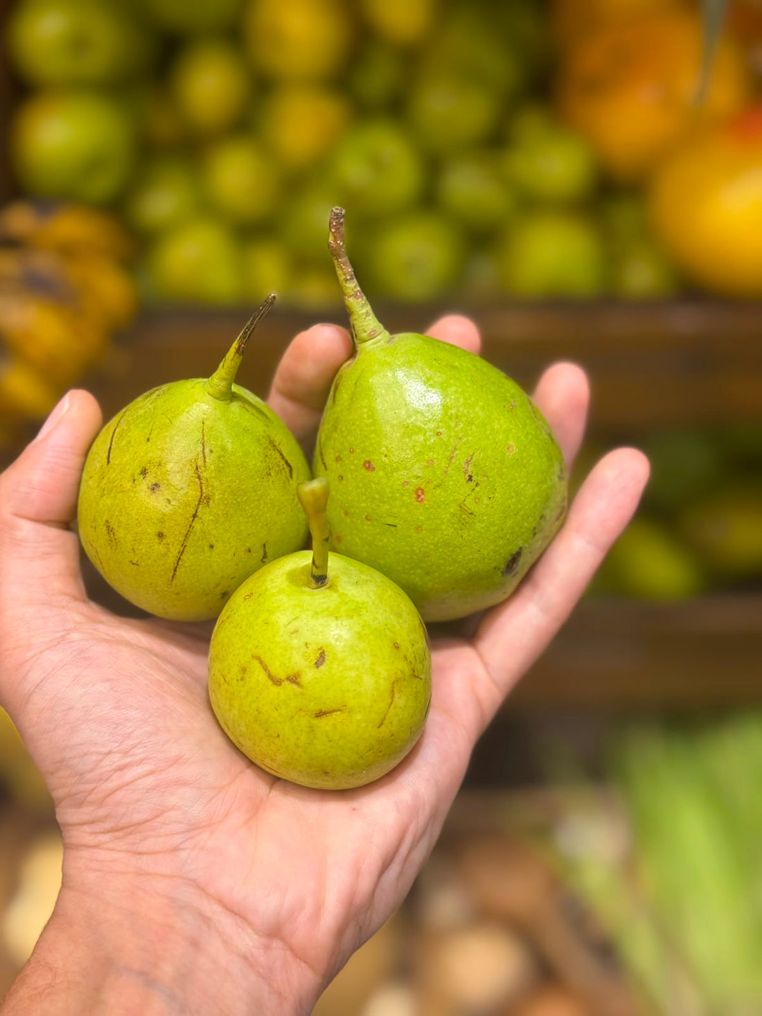 Kashmiri Naak - Organically Grown