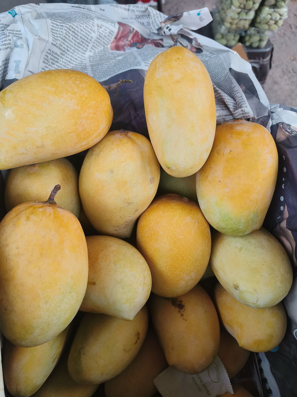 Mango | Kesar Mango (Gir Somnath) - Certified Organic – GI Tagged – Carbide Free & Naturally Ripened