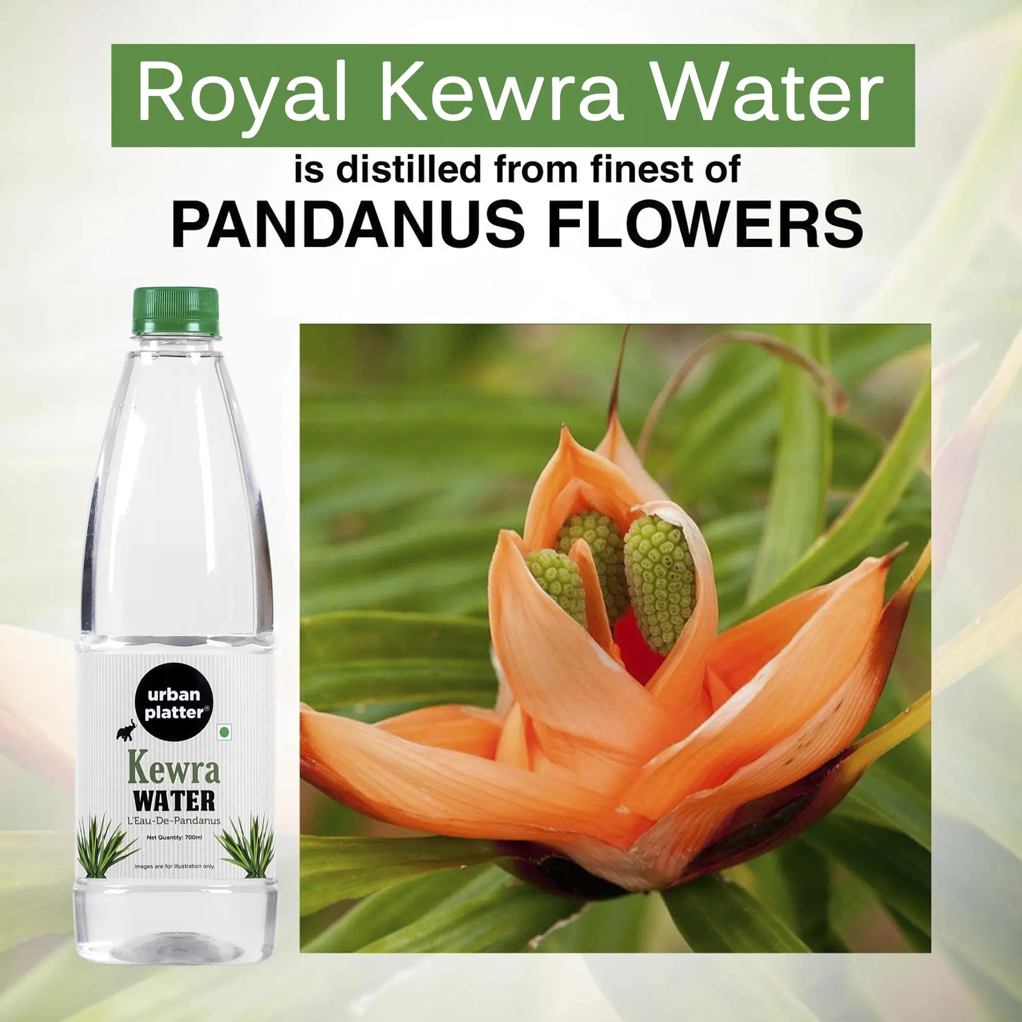 Kewra Water (Pandanus) – Urban Platter - Flavouring Agent – 700ml