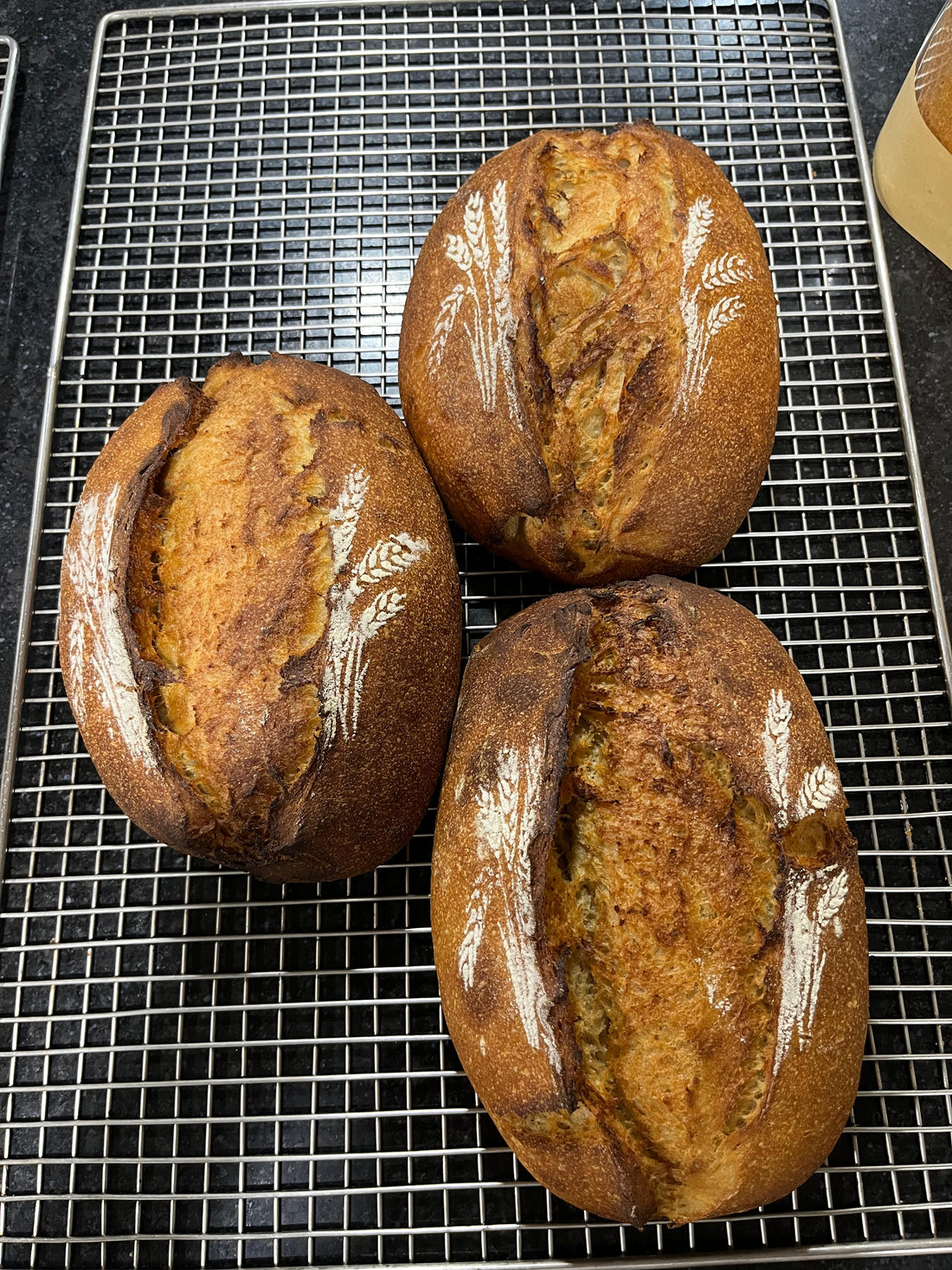 Bread | Khapli Sourdough Bread - Vegan, Low On Gluten, No Bread Improver, Emulsifiers, Stabiliser, No Preservatives & No Flavour Enhancer Or No Refined Sugar - Nature&