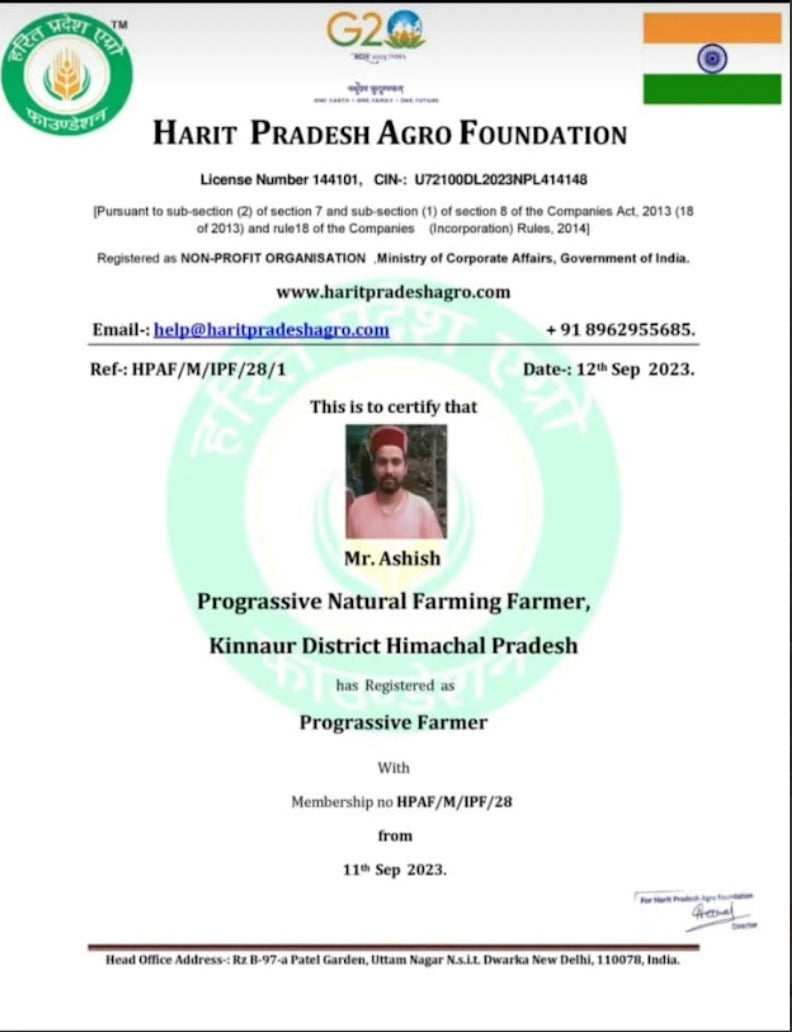 Apples | Kinnaur Apples (Spur Delicious) - No Wax - Zero Budget Natural Farming