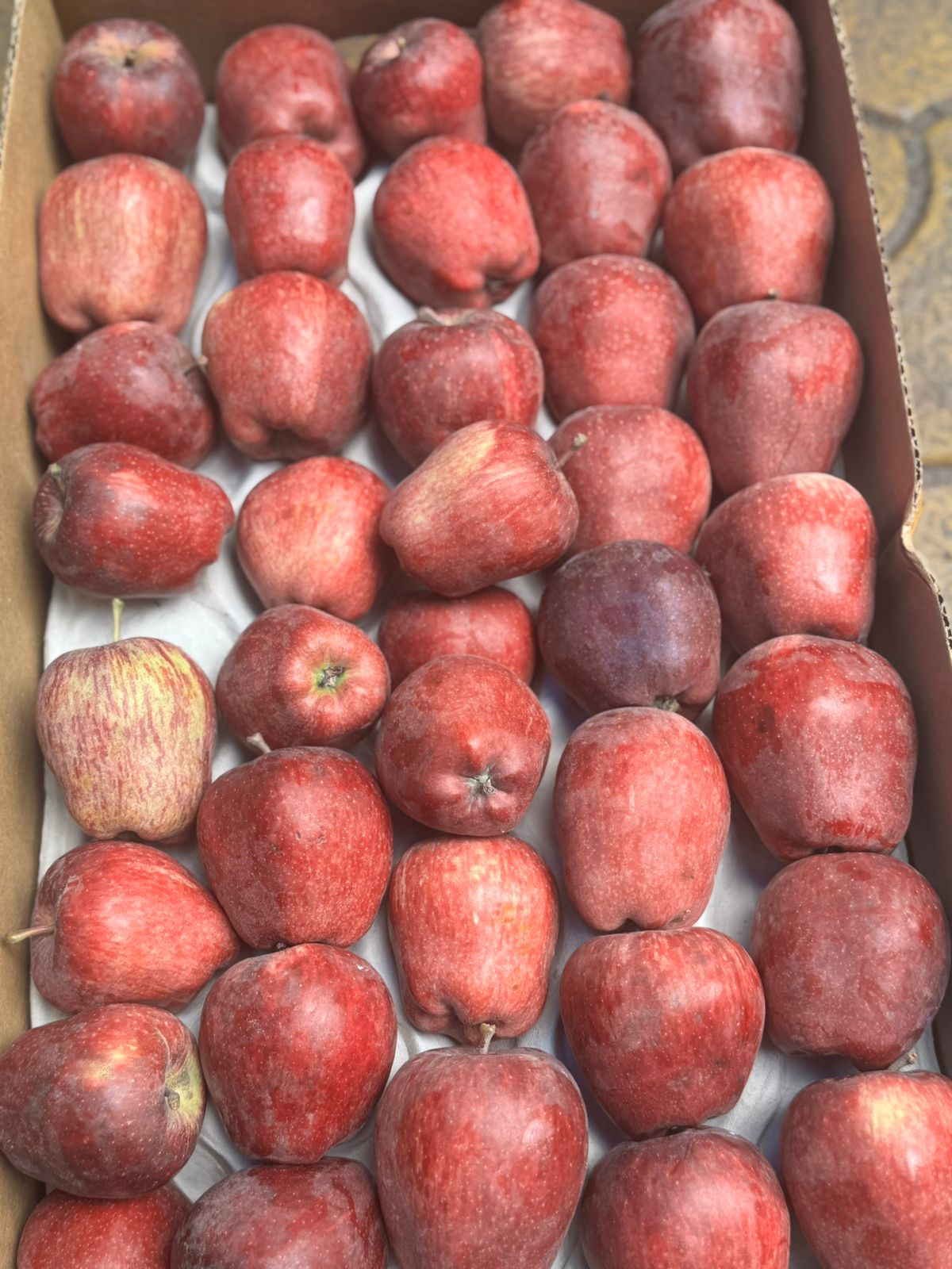 Apples | Kinnaur Apples (Spur Delicious) - No Wax - Zero Budget Natural Farming