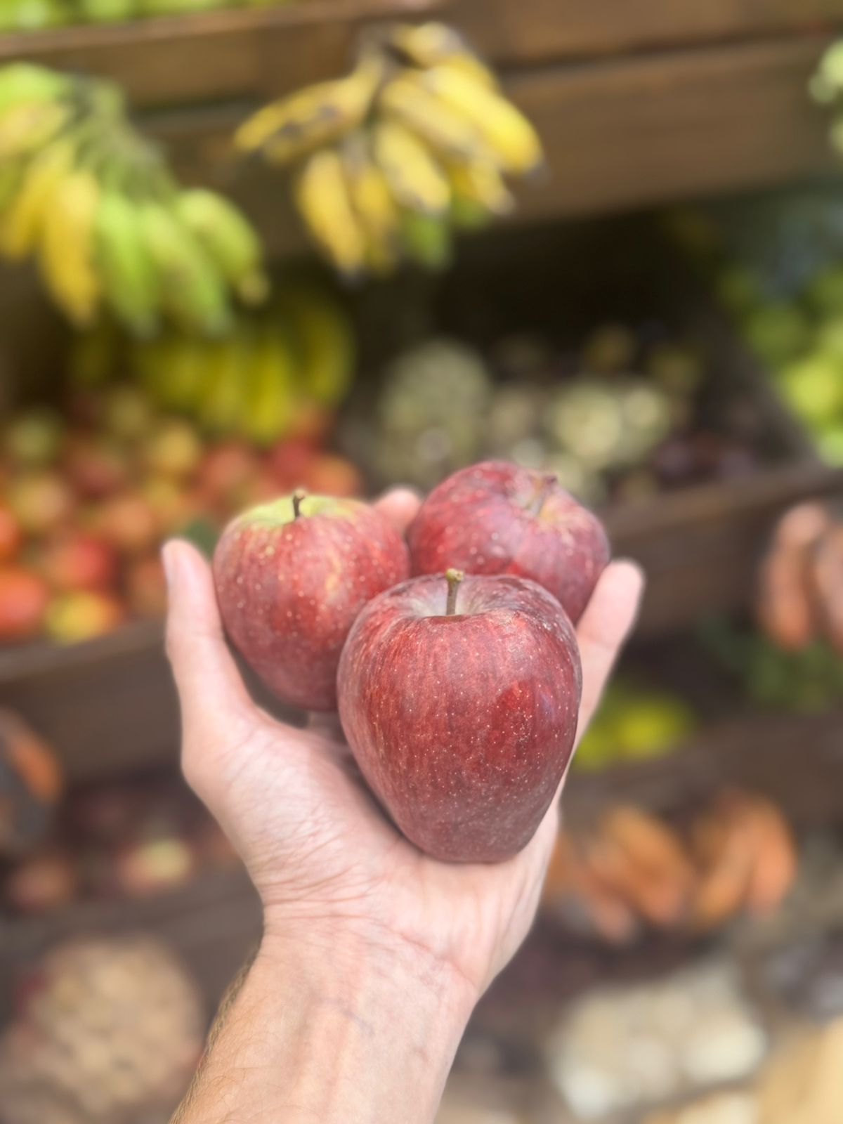 Apples | Kinnaur Apples (Spur Delicious) - No Wax - Zero Budget Natural Farming