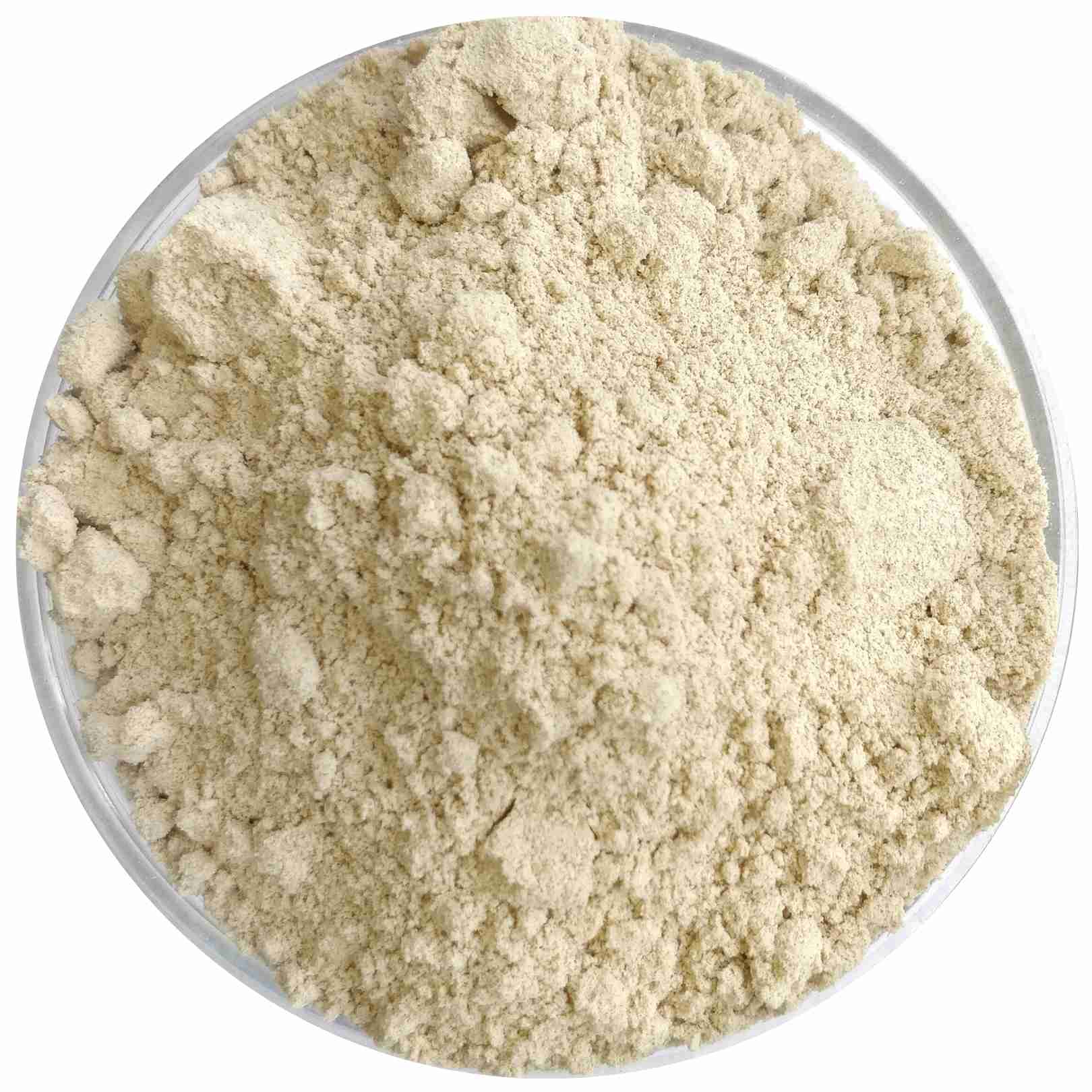 Kodo Flour | Organic - Vegan, Gluten Free, High Fibre, Rich In Niacin, No Preservatives - Millet Amma - 500gm