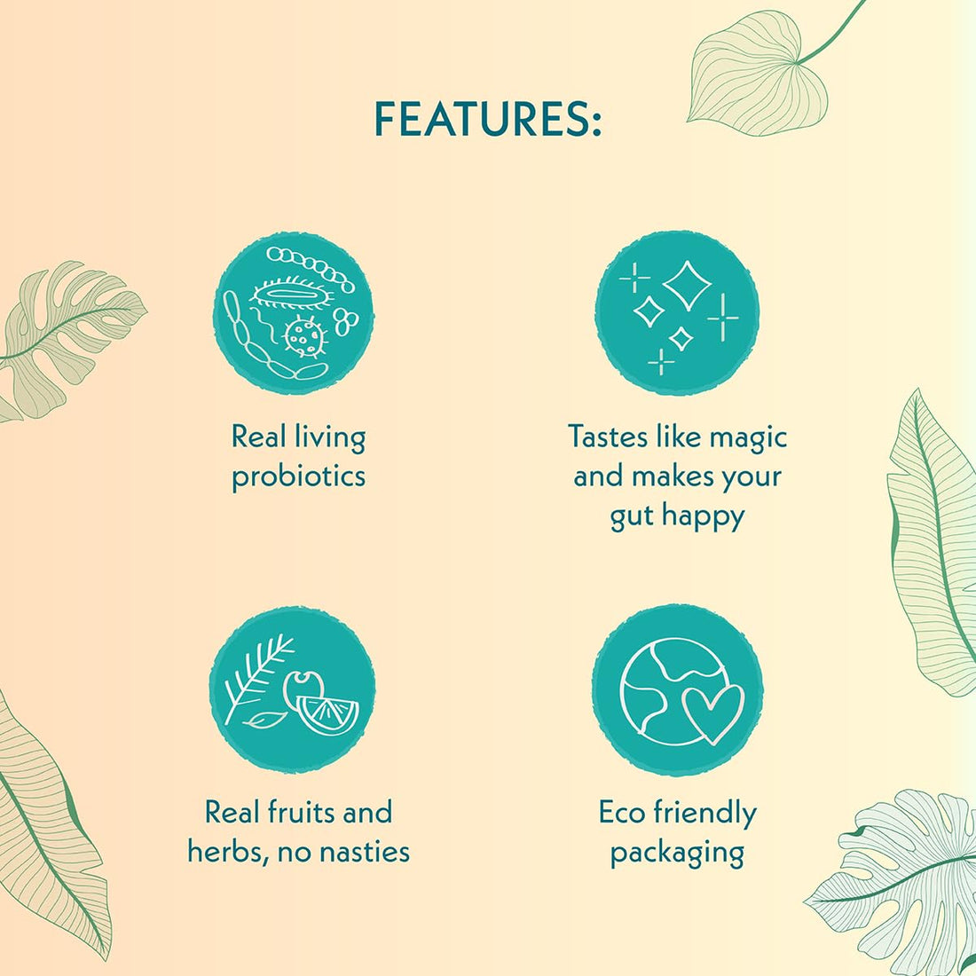 Kolala – Kombucha – Atmosphere – 210ml