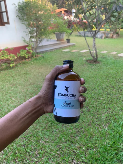 Kombucha Fresh - Bhu - 500ml