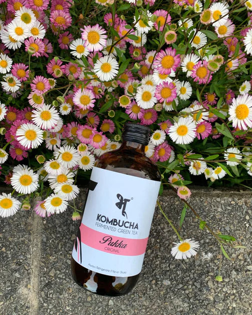 Kombucha Pukka - Bhu - 500ml