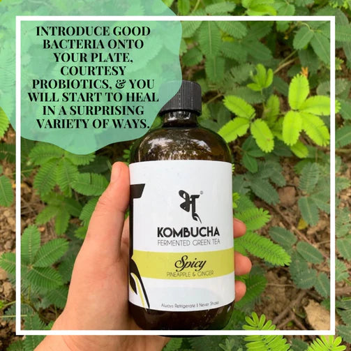 Kombucha Spicy - Bhu - 450ml