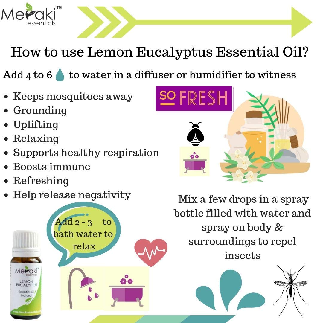 Lemon Eucalyptus Natural Essential Oil - Natural - Indian - Meraki Essentials - 10ml