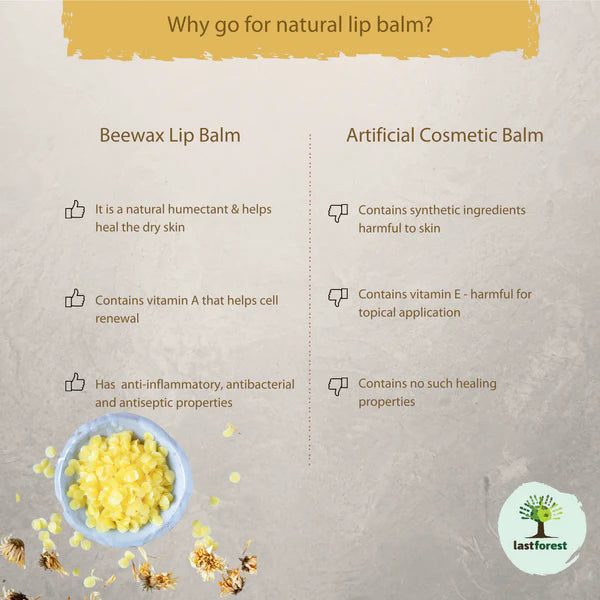 Lip Balm Mint - Last Forest - 5gm