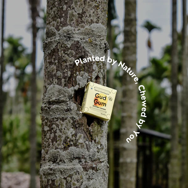 Lemon Chewing Gum - Sour, Sweet - 15 Pieces Per Pack - Natural - Indian - Vegan, Sugar Free & Plastic Free - Gud Gum - 21gm